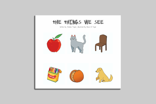 object identification children's book from my skills books similar to flashcards